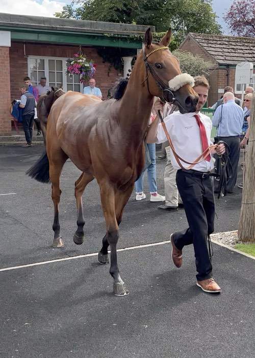 visit_thirsk_town_044